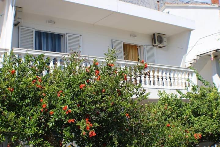 Apartments Zika Promajna Εξωτερικό φωτογραφία